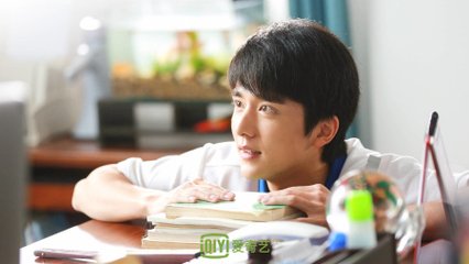 罗伯特的诅咒